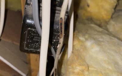 Recent Electrical Test Uncovers Many Errors